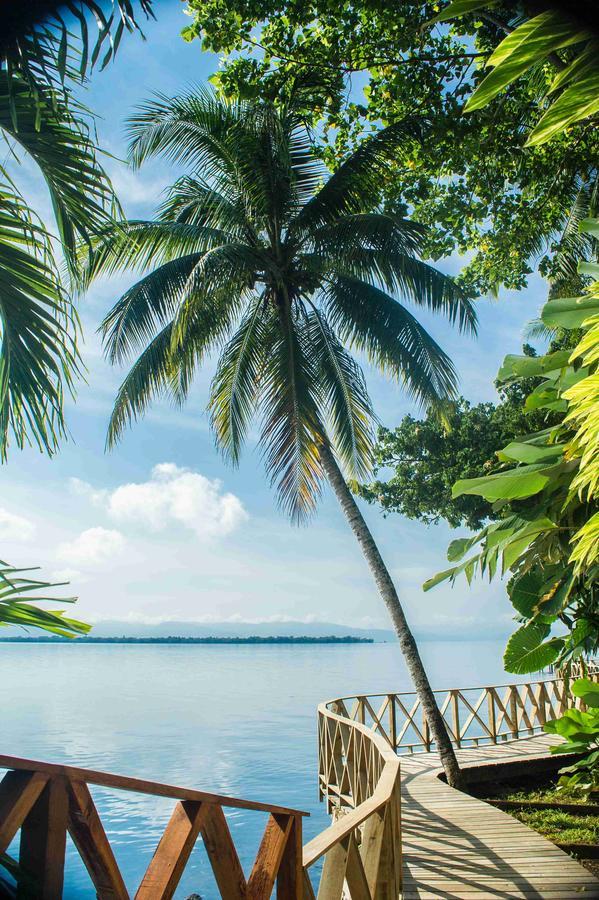 Banana Palms Hotel リオ・ドゥルセ エクステリア 写真